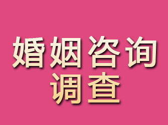 八宿婚姻咨询调查